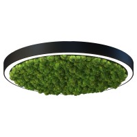 Светильник Стэрия мосс (Тонкий профиль) D515 Мощность: 20W (Арт. ISSTM3-035040-051520020) Светильник Стэрия мосс (Тонкий профиль) D515 Мощность: 20W (Арт. ISSTM3-035040-051520020)