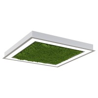 Светильник Глоу мосс (Квадрат тонкий профиль) L600 Мощность: 30W (Арт. ISGMK4-035035-060020030)