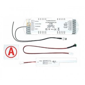 Блок аварийного питания LED CONVERSION KIT К-303 3-3,5Вт 3ч IP20 | 6501000370 | Световые Технологии