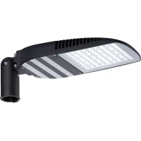 Светильник светодиодный консольный уличный FREGAT CROSSING LED 110 (R) 5000K | 1426000060 | Световые Технологии