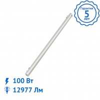 Светильник ДСО 01-100-850 светодиодный