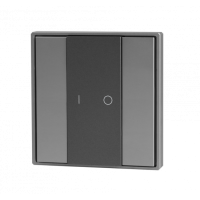 Кнопочная панель 2-х кл. (1 группа), пластиковый корпус, серый Арт. DA-SВт-G1-PG