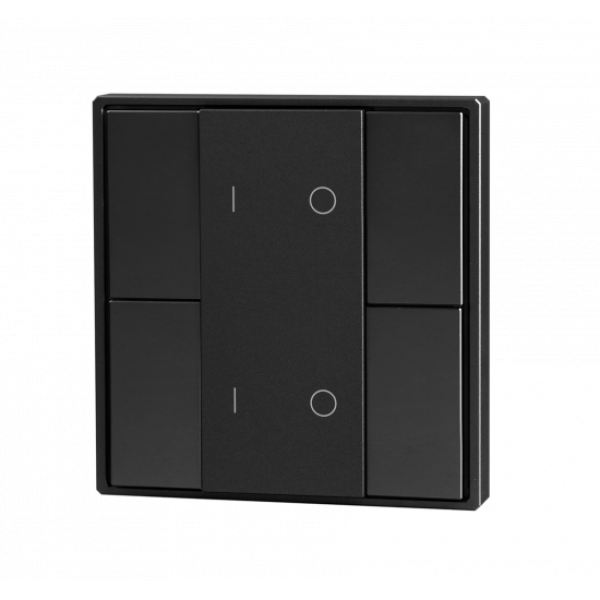 Кнопочная панель 4-х кл. (2 группы), пластиковый корпус, черн. Арт. DA-SВт-G2-PB