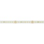 LED-лента A144 IP20 24V 10mm 7.7 W/m для внутреннего освещения
