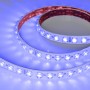 LED-лента S42 IP67 24V RGB с фокусирующими линзами