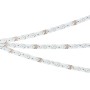 Светодиодная лента SPI-RZ-B60-8mm 12V RGB-PX1-BPT с IP20 и диммированием