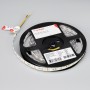 LED-лента B60 IP20-IP65 12V 12-14W с изменяемым тоном