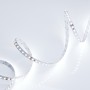 Светодиодная лента RT 2-5000 24V Cool 8K 2x (3528, 600 LED, LUX) IP20