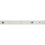 Светодиодная лента ARL-PV-C72-15.5mm 230V IP65 для наружного монтажа