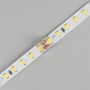 Коннектор 2pin FIX-MONO-8mm-STS (Arlight, Прозрачный) для лент 8 мм