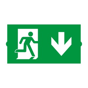 Пиктограмма EMGP-DIRECT-DOWN (Вниз) (Arlight, Пластик) для аварийных панелей