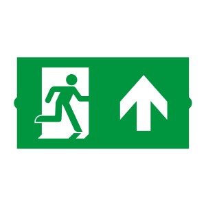 Пиктограмма EMGP-DIRECT-UP (Вверх) (Arlight, Пластик) для аварийного освещения
