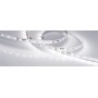 Светодиодная лента RT-20000 24V White6000, 4.8 Вт/м, IP20