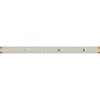 Светодиодная лента IC 2-50000 48V Cool 8K 12mm (2835, 144 LED/m, LUX) Стабилизированная