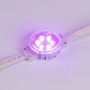 Модуль управляемый SPI-F6-D40 24V RGB-RAM-Auto (1.25W, IP68) для декора