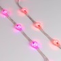 Модуль DMX-B1-D20 12V RGB (0.3W, IP68) для светодекора