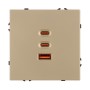 Розетка ARL NOBE USB тип А+С+С софт-тач золотой песок 65Вт QC3