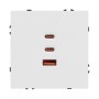 Розетка ARL NOBE USB тип А+С+С софт-тач белый кварц 65Вт
