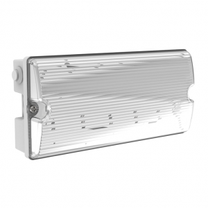 СВЕТИЛЬНИК АВАРИЙНО-ЭВАКУАЦИОННЫЙ 