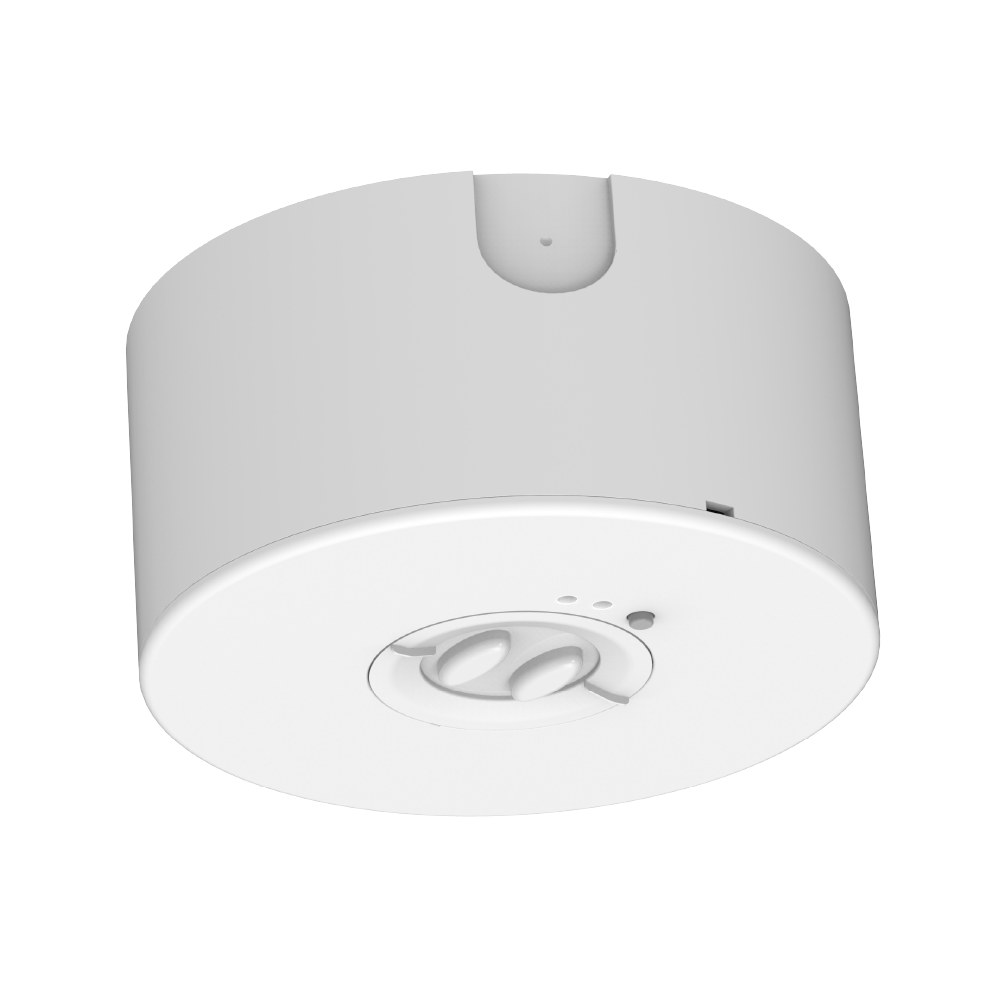 ИЛЬНИК АВАРИЙНЫЙ 