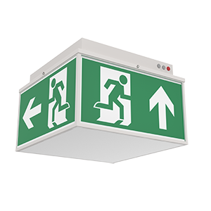 QUAD СЕРИИ ADVANCED 6W IP20/IP65 3Ч TELETEST